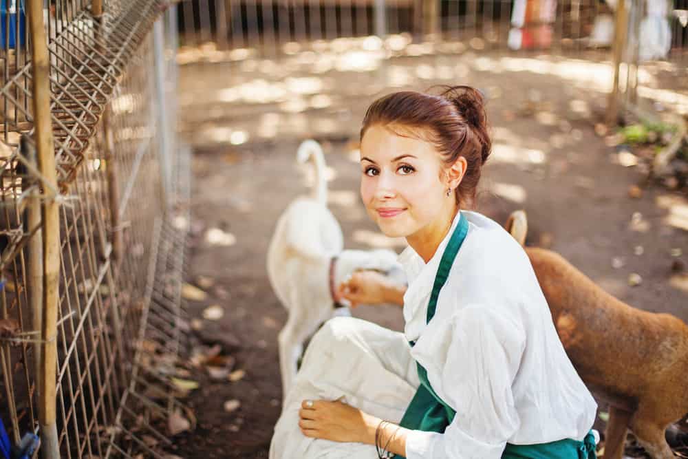 woman working in animal shelter